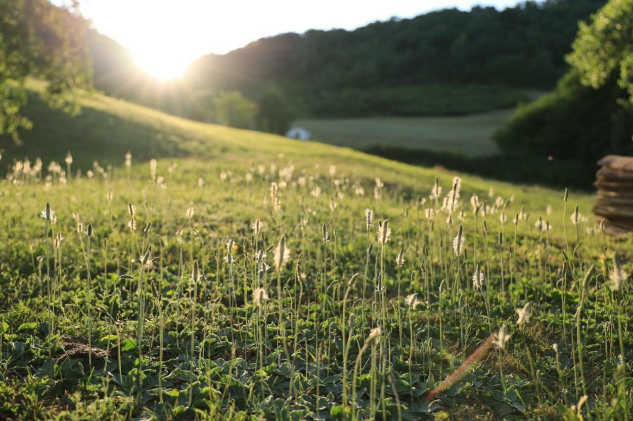 Caylus Domaine La Rose B&B 외부 사진